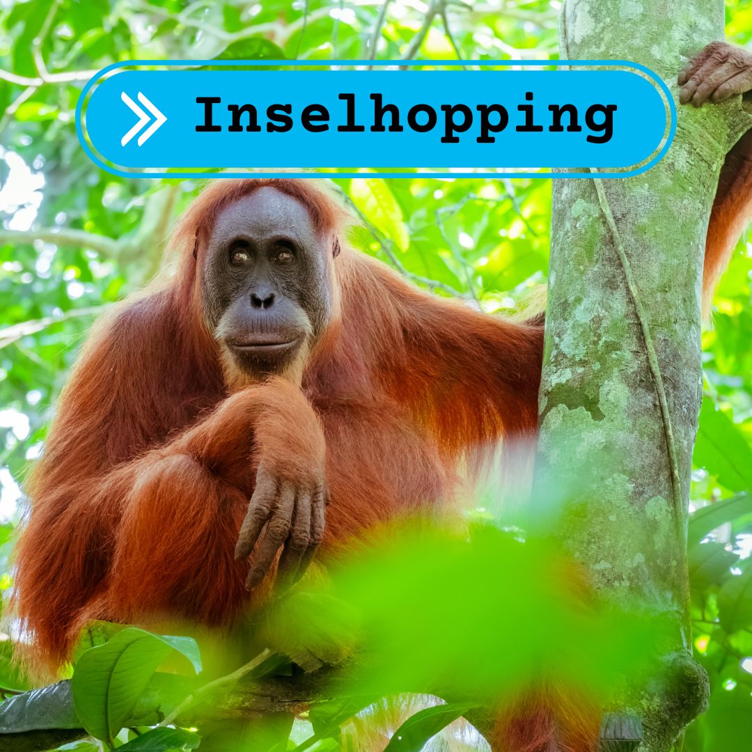 Inselhopping