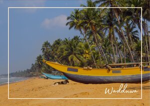 An der Südwestküste Sri Lankas liegt ein breiter Sandstrand mit goldgelbem Ufer und ruhigem Wasser, an dem ein gelbes Boot an Land gezogen ist. Hinter dem Strand wachsen hohe Palmen und dichtes Grün, während die Küste im Hintergrund sanft in die Ferne verläuft. Das Bild zeigt damit klar die tropische Landschaft, die weiten Strände und die direkte Nähe zum Meer.