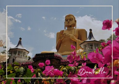 Postkarte Dambulla
