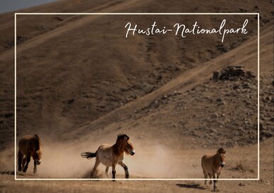 Postkarte Hustai-Nationalpark