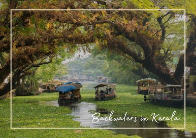 Postkarte Backwaters