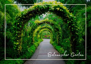 Die Singapore Botanical Gardens sind eine berühmte grüne Oase inmitten der Stadt. Sie sind für ihre wunderschöne Landschaft, den National Orchid Garden und ihren UNESCO-Welterbe-Status bekannt. Besucher können dort eine ruhige Pause vom Trubel der Stadt genießen und viele tropische Pflanzen entdecken.