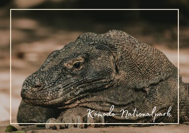 Postkarte Komodo-Nationalpark