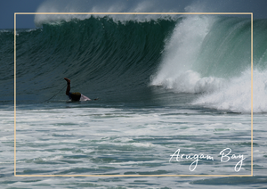 Das Bild zeigt einen Surfer in einer großen, brechenden Welle. Die Szene wirkt dynamisch und zugleich ruhig, weil das Wasser in sanften Blau- und Türkistönen leuchtet und der Surfer klein im Vergleich zur mächtigen Welle erscheint. Der Blickfang ist die halbhohe Welle mit ihrer weißen Gischt, die eine starke Naturkraft vermittelt