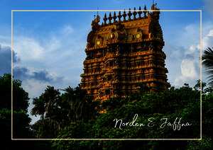Das Bild zeigt einen farbenprächtigen Tempelturm in Jaffna im Norden Sri Lankas. Die reich verzierte Architektur mit goldenen und bunten Details steht zwischen grünen Palmen und einem blauen Himmel. Das Bauwerk wirkt eindrucksvoll und spirituell.
