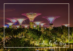 In Singapur leuchten die futuristischen Supertrees in kräftigen Farben gegen den dunklen Nachthimmel und schaffen ein faszinierendes Bild. Das Licht der Anlagen hebt sich eindrucksvoll vom tiefen Blau und Violett der Nacht ab, während die Palmen im Vordergrund die tropische Atmosphäre verstärken.