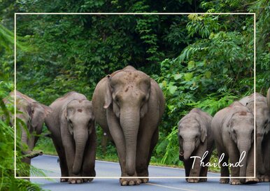 Postkarte Thailand