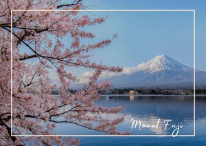 Der heilige Mount Fuji ist wahrlich ein beeindruckender Vulkan und Berg. Mit seiner schneebedeckten Spitze, hebt er sich von der hellen und flachen Landschaft außenrum ab und bietet einen echten Wow-Moment. Auch das hier gezeigte Panorama mit dem See und den wunderschön rosa leuchtenden Kirschblüten ist wirklich einmalig.