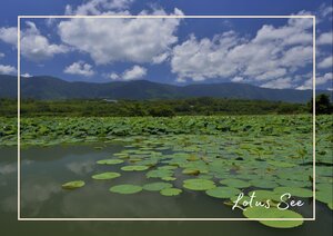 Ein stiller See liegt weit und glatt unter einem Himmel, der sich in tiefem Blau und dichtem Wolkengrau öffnet. Wie grüne Inseln treiben unzählige Blätter auf der Wasserfläche und verleihen der Landschaft etwas Sanftes und fast träumerisches. Dahinter spannt sich die weite Ebene bis zu den dunklen Bergen, sodass das Bild ruhig, offen und sehr naturverbunden wirkt.