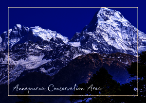 Das Bild zeigt die schneebedeckten Gipfel des Annapurna Conservation Area, die sich eindrucksvoll gegen den klaren Himmel abheben. Die tiefen Blau- und Weißtöne verleihen der Berglandschaft eine kühle, stille und majestätische Stimmung.
