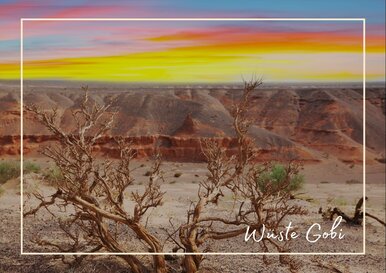 Postkarte Wüste Gobi
