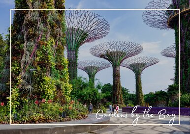 Postkarte Gardens by the Bay